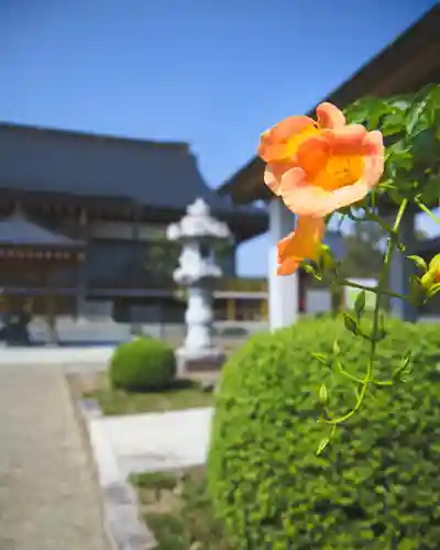 和光院(田島の血不動尊)(茨城県)
