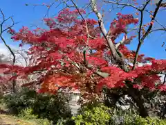 長岡天満宮の自然