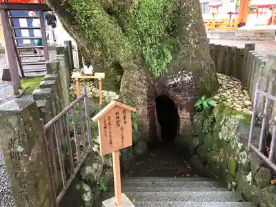 熊野那智大社(和歌山県)