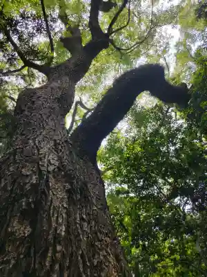 西宮神社の{uncategorized: "未分類", other: "その他", undefined: "問題あり", building: "その他建物", grave: "お墓", sacred_gate: "鳥居", guardian: "狛犬", statue: "像", buddha: "仏像", history: "歴史", nature: "自然", garden: "庭園", animal: "動物", pagoda: "塔", temizu: "手水舎", mountain_gate: "山門・神門", sanctuary: "本殿・本堂", subordinate: "末社・摂社", art: "芸術", scenery: "景色", jizo: "地蔵", ema: "絵馬", goshuin: "御朱印", omikuji: "おみくじ", items: "授与品その他", amulet: "お守り", goshuincho: "御朱印帳", eats: "食事", festival: "お祭り", votive_dance: "神楽", shichigosan: "七五三参", wedding: "結婚式", experience: "体験その他", initially: "初詣", around: "周辺", anti_infection: "感染症対策"}