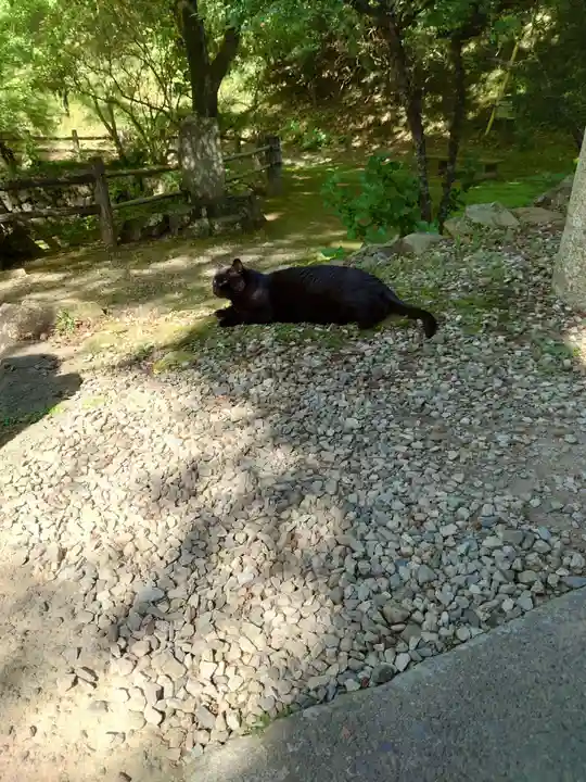 唐澤山神社(栃木県)
