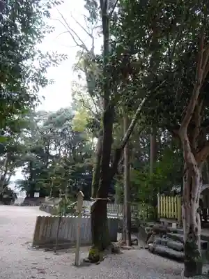 往馬坐伊古麻都比古神社(奈良県)