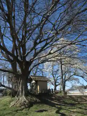 神明神社(千葉県)