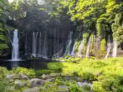 富士山本宮浅間大社の周辺