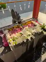 美濃國一宮 南宮大社(岐阜県)