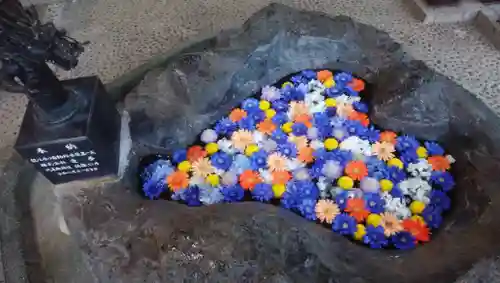 月寒神社の手水