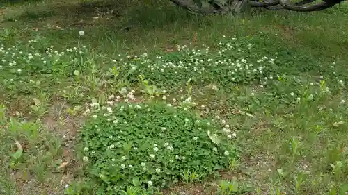 士幌神社の自然