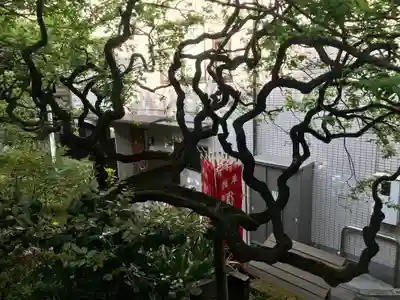 湯島天満宮(東京都)