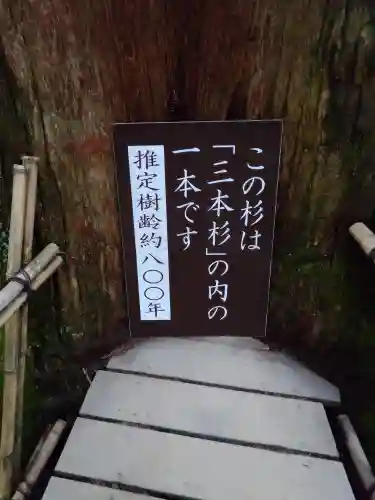 戸隠神社中社(長野県)