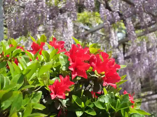 三大神社の自然