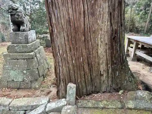 手力雄神社の{uncategorized: "未分類", other: "その他", undefined: "問題あり", building: "その他建物", grave: "お墓", sacred_gate: "鳥居", guardian: "狛犬", statue: "像", buddha: "仏像", history: "歴史", nature: "自然", garden: "庭園", animal: "動物", pagoda: "塔", temizu: "手水舎", mountain_gate: "山門・神門", sanctuary: "本殿・本堂", subordinate: "末社・摂社", art: "芸術", scenery: "景色", jizo: "地蔵", ema: "絵馬", goshuin: "御朱印", omikuji: "おみくじ", items: "授与品その他", amulet: "お守り", goshuincho: "御朱印帳", eats: "食事", festival: "お祭り", votive_dance: "神楽", shichigosan: "七五三参", wedding: "結婚式", experience: "体験その他", initially: "初詣", around: "周辺", anti_infection: "感染症対策"}