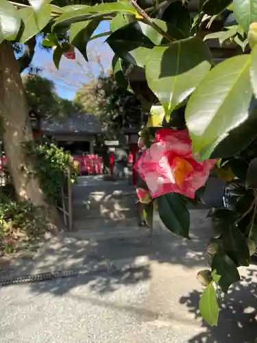 八雲神社（鎌倉・大町）(神奈川県)