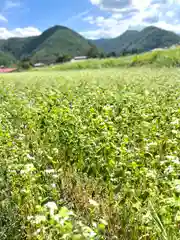 子檀嶺神社(長野県)