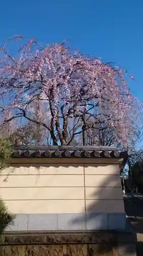 寛永寺(根本中堂)(東京都)