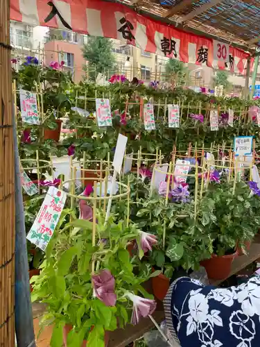 真源寺（入谷鬼子母神）(東京都)