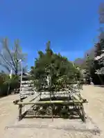 廣瀬大社(奈良県)