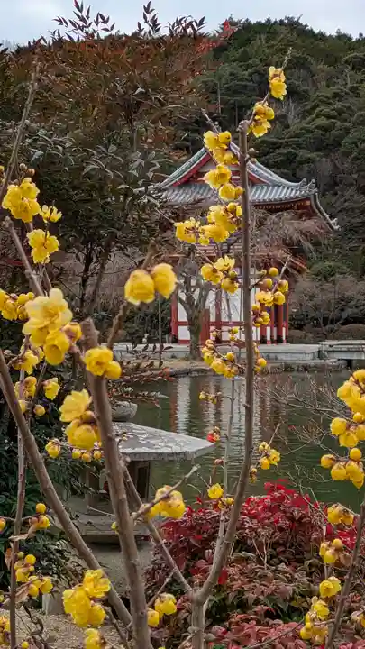 勝尾寺(大阪府)