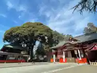 大前恵比寿神社の{uncategorized: "未分類", other: "その他", undefined: "問題あり", building: "その他建物", grave: "お墓", sacred_gate: "鳥居", guardian: "狛犬", statue: "像", buddha: "仏像", history: "歴史", nature: "自然", garden: "庭園", animal: "動物", pagoda: "塔", temizu: "手水舎", mountain_gate: "山門・神門", sanctuary: "本殿・本堂", subordinate: "末社・摂社", art: "芸術", scenery: "景色", jizo: "地蔵", ema: "絵馬", goshuin: "御朱印", omikuji: "おみくじ", items: "授与品その他", amulet: "お守り", goshuincho: "御朱印帳", eats: "食事", festival: "お祭り", votive_dance: "神楽", shichigosan: "七五三参", wedding: "結婚式", experience: "体験その他", initially: "初詣", around: "周辺", anti_infection: "感染症対策"}