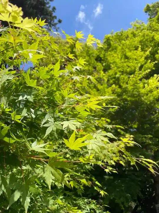目の霊山 油山寺の自然