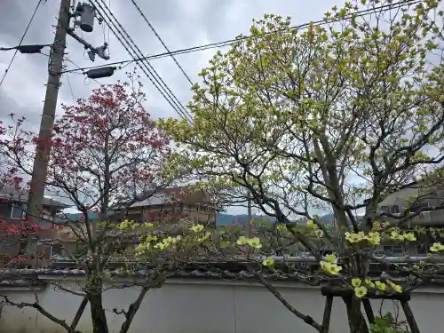 普門院(和歌山県)