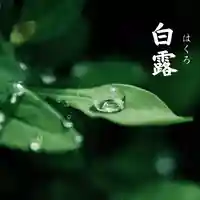 總社 和田八幡宮(福井県)