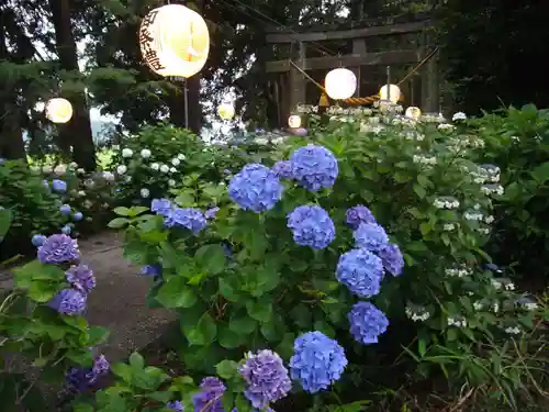 磯山神社の鳥居