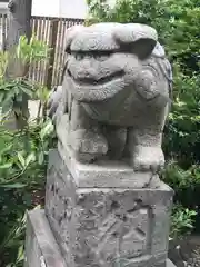 菊田神社の狛犬