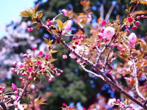 亀岡神社(長崎県)