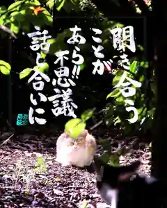 専念寺(大阪府)(2022年11月06日(日) 07時45分03秒投稿)