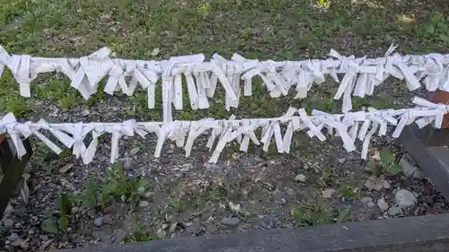 大樹神社のおみくじ