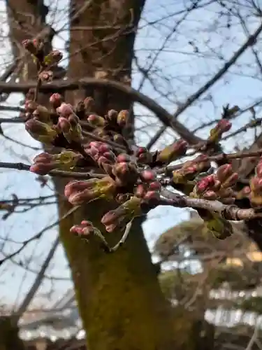 伏木香取神社の自然