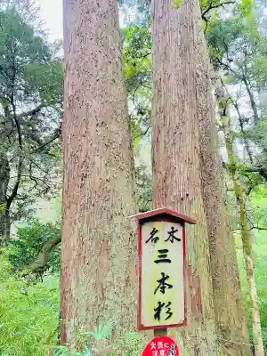 笠森寺(千葉県)