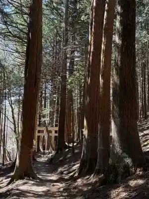 三峯神社奥宮の{uncategorized: "未分類", other: "その他", undefined: "問題あり", building: "その他建物", grave: "お墓", sacred_gate: "鳥居", guardian: "狛犬", statue: "像", buddha: "仏像", history: "歴史", nature: "自然", garden: "庭園", animal: "動物", pagoda: "塔", temizu: "手水舎", mountain_gate: "山門・神門", sanctuary: "本殿・本堂", subordinate: "末社・摂社", art: "芸術", scenery: "景色", jizo: "地蔵", ema: "絵馬", goshuin: "御朱印", omikuji: "おみくじ", items: "授与品その他", amulet: "お守り", goshuincho: "御朱印帳", eats: "食事", festival: "お祭り", votive_dance: "神楽", shichigosan: "七五三参", wedding: "結婚式", experience: "体験その他", initially: "初詣", around: "周辺", anti_infection: "感染症対策"}