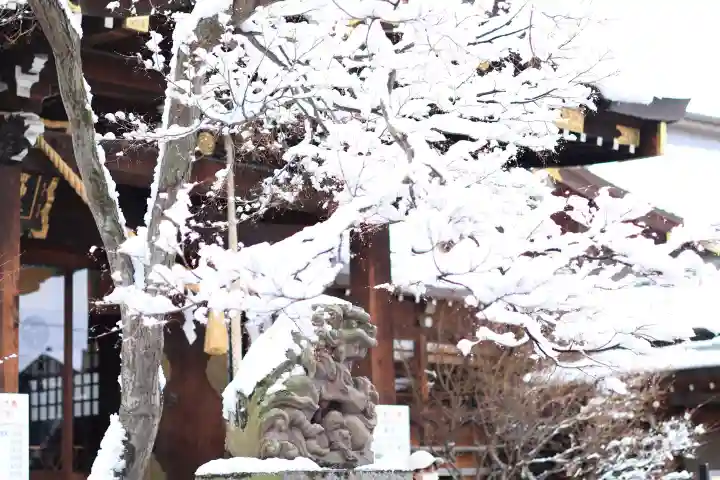 行田八幡神社の{uncategorized: "未分類", other: "その他", undefined: "問題あり", building: "その他建物", grave: "お墓", sacred_gate: "鳥居", guardian: "狛犬", statue: "像", buddha: "仏像", history: "歴史", nature: "自然", garden: "庭園", animal: "動物", pagoda: "塔", temizu: "手水舎", mountain_gate: "山門・神門", sanctuary: "本殿・本堂", subordinate: "末社・摂社", art: "芸術", scenery: "景色", jizo: "地蔵", ema: "絵馬", goshuin: "御朱印", omikuji: "おみくじ", items: "授与品その他", amulet: "お守り", goshuincho: "御朱印帳", eats: "食事", festival: "お祭り", votive_dance: "神楽", shichigosan: "七五三参", wedding: "結婚式", experience: "体験その他", initially: "初詣", around: "周辺", anti_infection: "感染症対策"}