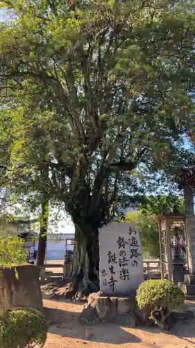 金倉寺(香川県)