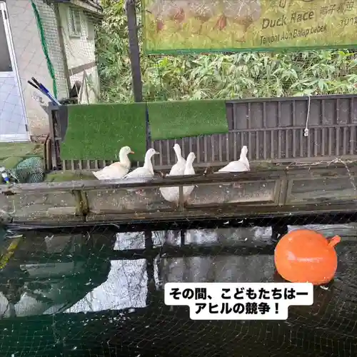 成田山瀧泉寺(北海道)