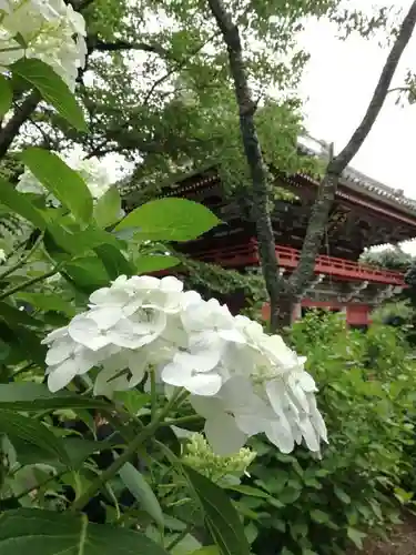楽法寺（雨引観音）の自然