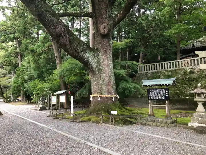 事任八幡宮の自然