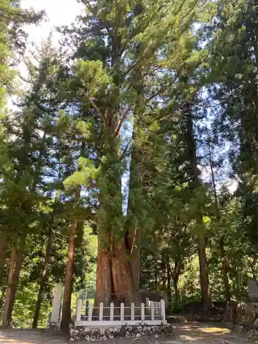 八海神社(新潟県)