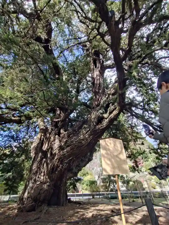 建長寺(神奈川県)