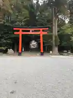 霧島神宮(鹿児島県)