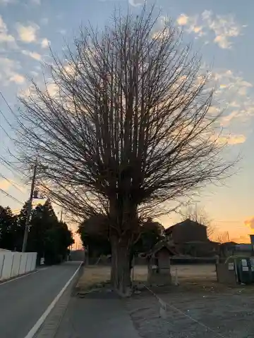 稲荷神社(千葉県)