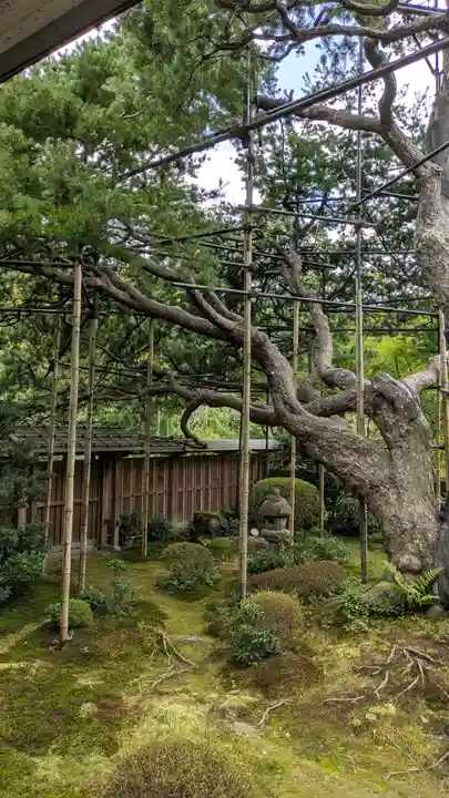宝泉院(京都府)