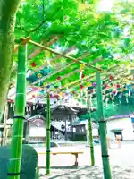 温泉神社〜いわき湯本温泉〜のお祭り