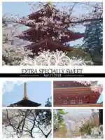 高幡不動尊 金剛寺(東京都)