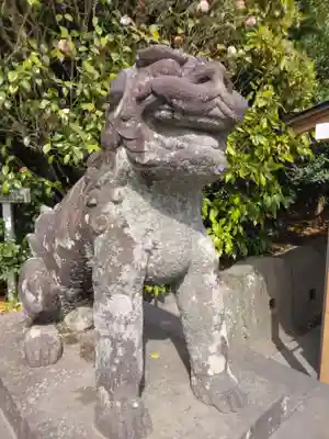 鶴岡八幡宮の狛犬