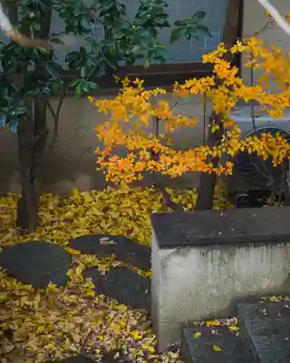 高﨑神社(群馬県)