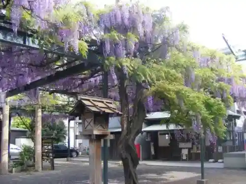國領神社(東京都)