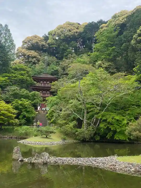 浄瑠璃寺(京都府)