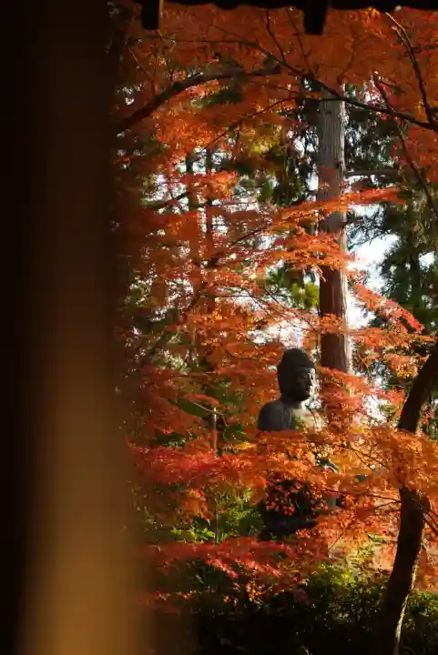 榮攝院(栄摂院)(京都府)